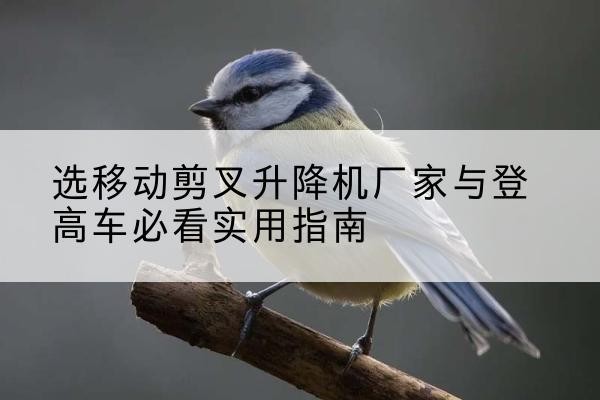 郁南电动升降机厂家-选移动剪叉升降机厂家与登高车必看实用指南