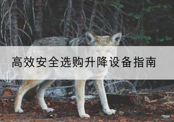 郁南升降货梯厂家推荐-*安全选购升降设备指南