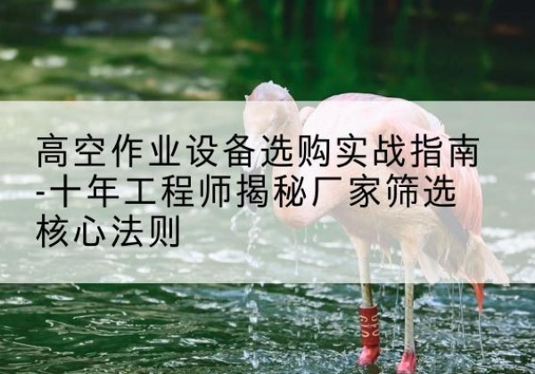 郁南剪叉式升降机厂家-高空作业设备选购实战指南-十年工程师揭秘厂家筛选核心法则
